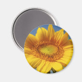 Gelbe Sonnenblume Magnet (Vorderseite/Rückseite)