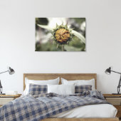 Gelbe Sonnenblume mit geschlossenen Blüten Leinwanddruck (Insitu (Schlafzimmer))