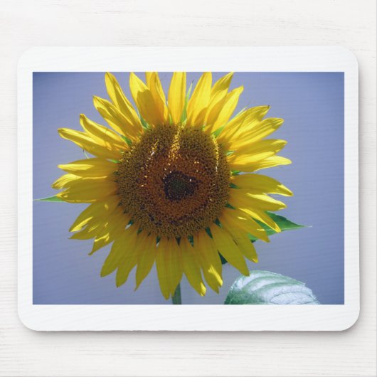 Gelbe Sonnenblume Mousepad (Vorne)