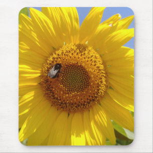 Gelbe Sonnenblume Mousepad