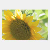 Gelbe Sonnenblume nah Geschenkpapier Set (Vorderseite)