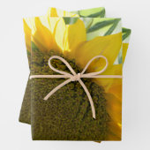 Gelbe Sonnenblume nah Geschenkpapier Set (Beispiel)