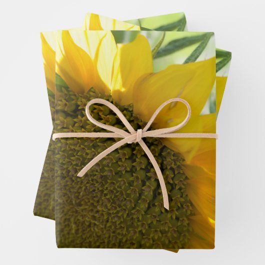 Gelbe Sonnenblume nah Geschenkpapier Set (Beispiel)