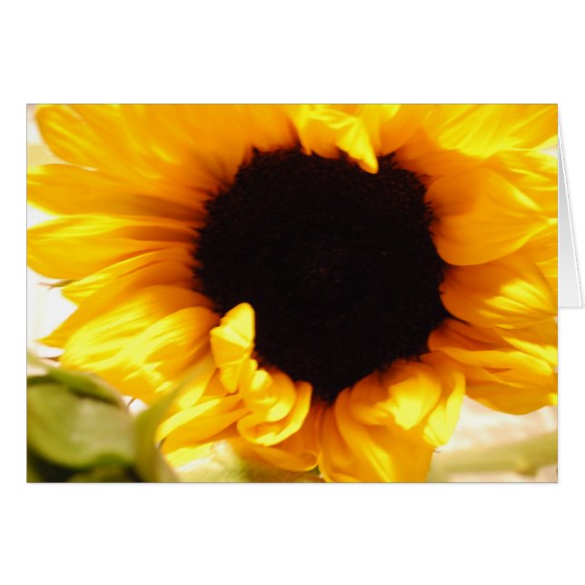Gelbe Sonnenblume Notecard Postkarte (Vorderseite (Horizontal))