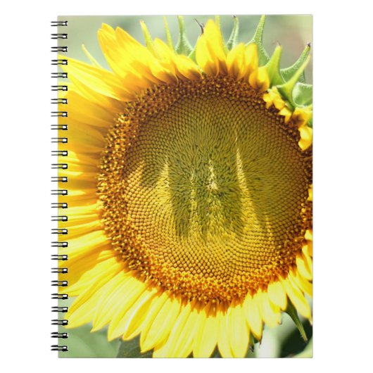 Gelbe Sonnenblume Notizblock (Vorderseite)