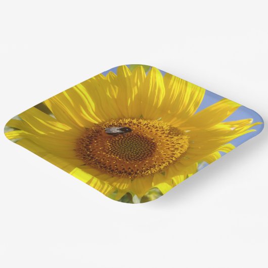 Gelbe Sonnenblume Pappteller (Gewinkelt)