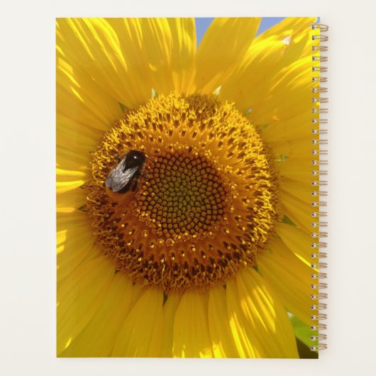 Gelbe Sonnenblume Planer (Rückseite)