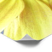 Gelbe Sonnenblume Poster (Ecke)