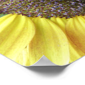 Gelbe Sonnenblume Poster (Ecke)