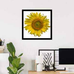 Gelbe Sonnenblume Poster