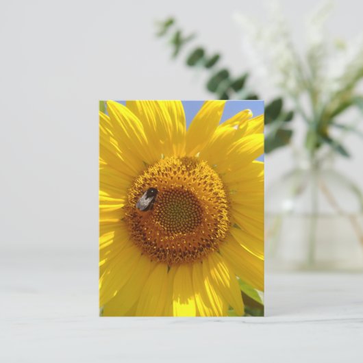 Gelbe Sonnenblume Postkarte (Stehend Vorderseite)