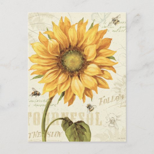Gelbe Sonnenblume Postkarte (Vorderseite)
