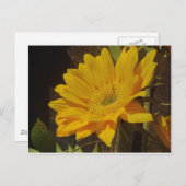 Gelbe Sonnenblume Postkarte (Vorne/Hinten)