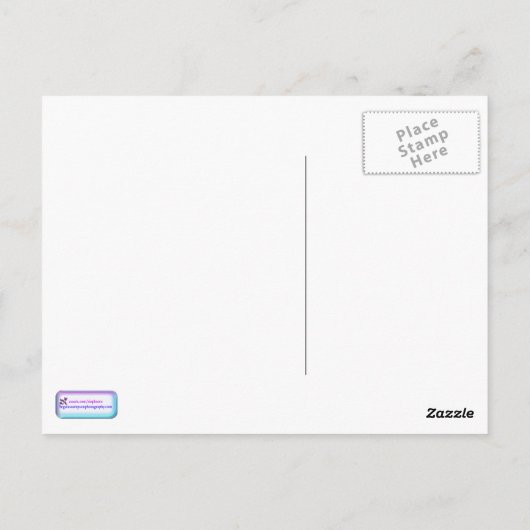 Gelbe Sonnenblume Postkarte (Rückseite)