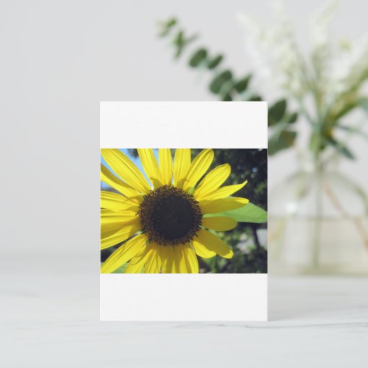 Gelbe Sonnenblume Postkarte (Stehend Vorderseite)