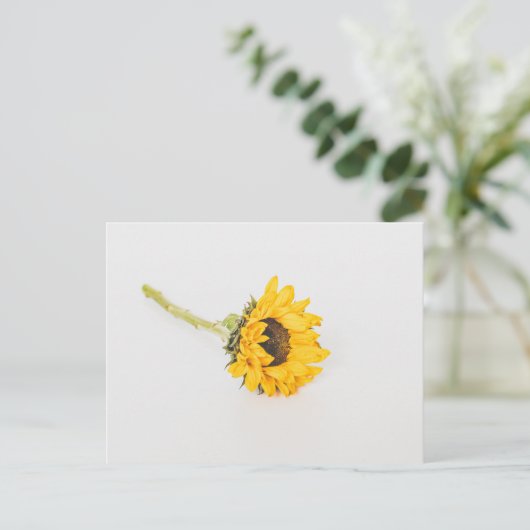 Gelbe Sonnenblume Postkarte (Stehend Vorderseite)