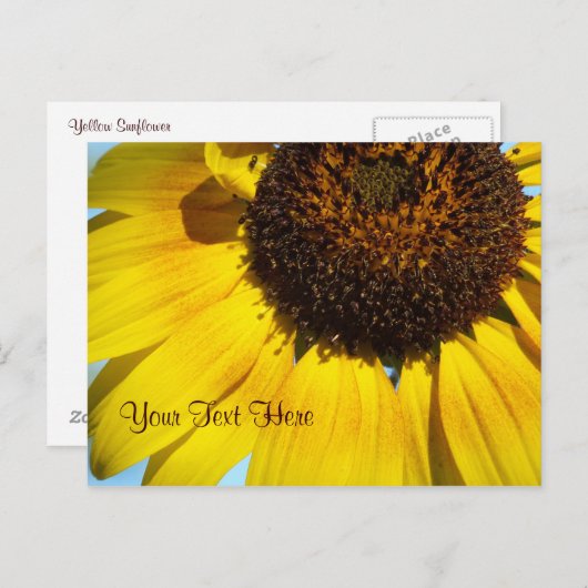 Gelbe Sonnenblume Postkarte. - personalisierbar Postkarte (Vorne/Hinten)