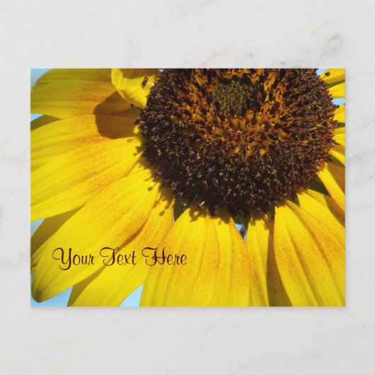 Gelbe Sonnenblume Postkarte. - personalisierbar Postkarte (Vorderseite)
