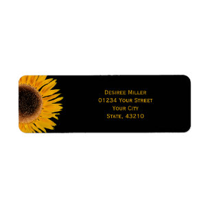 Gelbe Sonnenblume schwarzer Hintergrund Land rusti