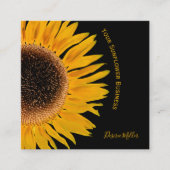 Gelbe Sonnenblume schwarzer Hintergrund Land rusti Quadratische Visitenkarte (Vorderseite)