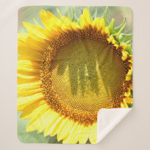Gelbe Sonnenblume Sherpadecke
