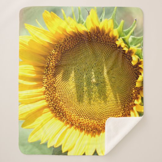 Gelbe Sonnenblume Sherpadecke (Vorderseite)