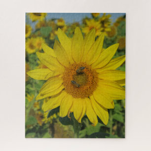 Gelbe Sonnenblume Sommerblüte Puzzle
