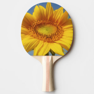 Gelbe Sonnenblume Tischtennis Schläger