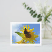 Gelbe Sonnenblume und Roter Admiral Butterfly Postkarte (Stehend Vorderseite)