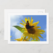 Gelbe Sonnenblume und Roter Admiral Butterfly Postkarte (Vorne/Hinten)