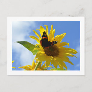 Gelbe Sonnenblume und Roter Admiral Butterfly Postkarte