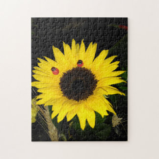 Gelbe Sonnenblume und zwei Ladybugs Puzzle