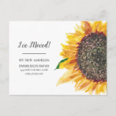 Gelbe Sonnenblume Weiß Postkarte (Vorderseite)