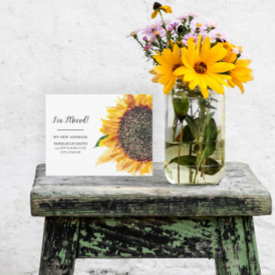 Gelbe Sonnenblume Weiß Postkarte