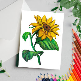 Gelbe Sonnenblume Zeichne Farbstift Postkarte