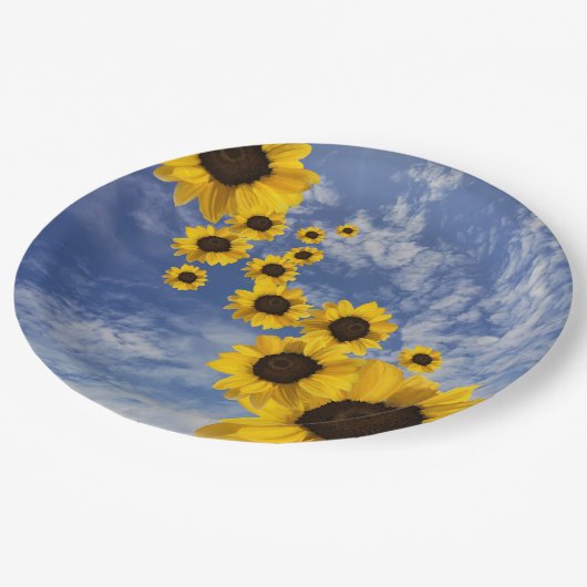 Gelbe Sonnenblumen blauer Himmel Pappteller (Schrägansicht)