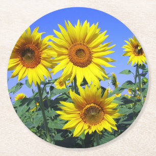 Gelbe Sonnenblumen-Blumen Hochzeit Party Runder Pappuntersetzer