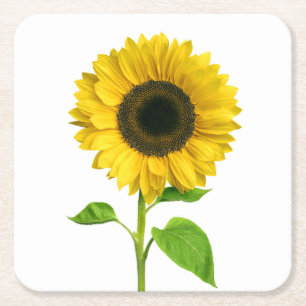 Gelbe Sonnenblumen-Blumen-Hochzeitsfeier Rechteckiger Pappuntersetzer