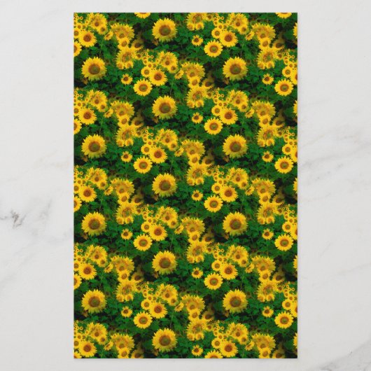 Gelbe Sonnenblumen Briefpapier (Vorderseite)