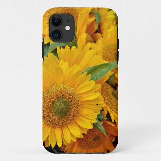 Gelbe Sonnenblumen Case-Mate iPhone Hülle (Rückseite)