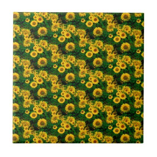 Gelbe Sonnenblumen Fliese (Vorderseite)