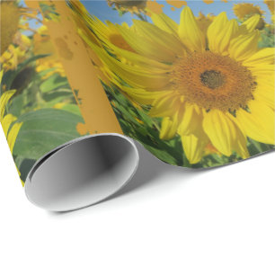 Gelbe Sonnenblumen im Sommer Geschenkpapier