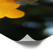 Gelbe Sonnenblumen in einer Jarblütenfotografie Poster (Ecke)