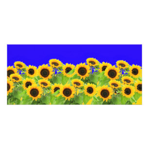 Gelbe Sonnenblumen Karten