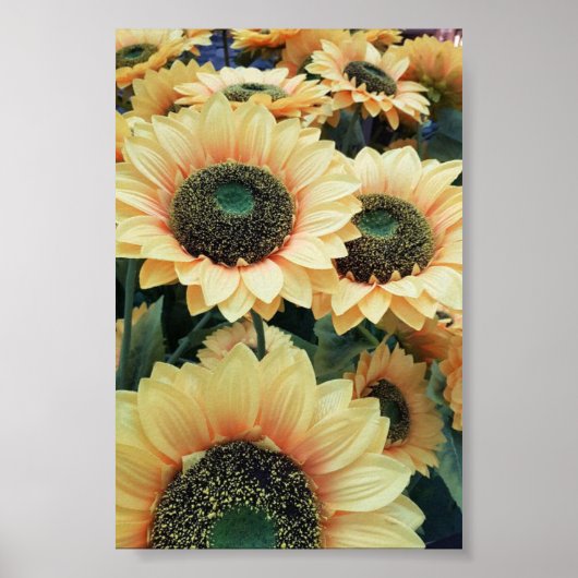Gelbe Sonnenblumen machen mich glücklich Poster (Vorne)