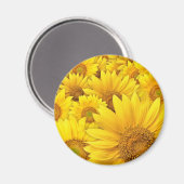 Gelbe Sonnenblumen Magnet (Vorderseite/Rückseite)