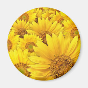 Gelbe Sonnenblumen Magnet