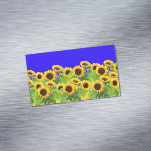 Gelbe Sonnenblumen Magnet