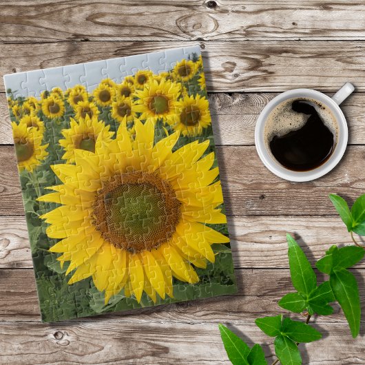 Gelbe Sonnenblumen Naturschutzgebiet Foto Puzzle