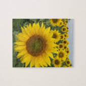 Gelbe Sonnenblumen Naturschutzgebiet Foto Puzzle (Horizontal)